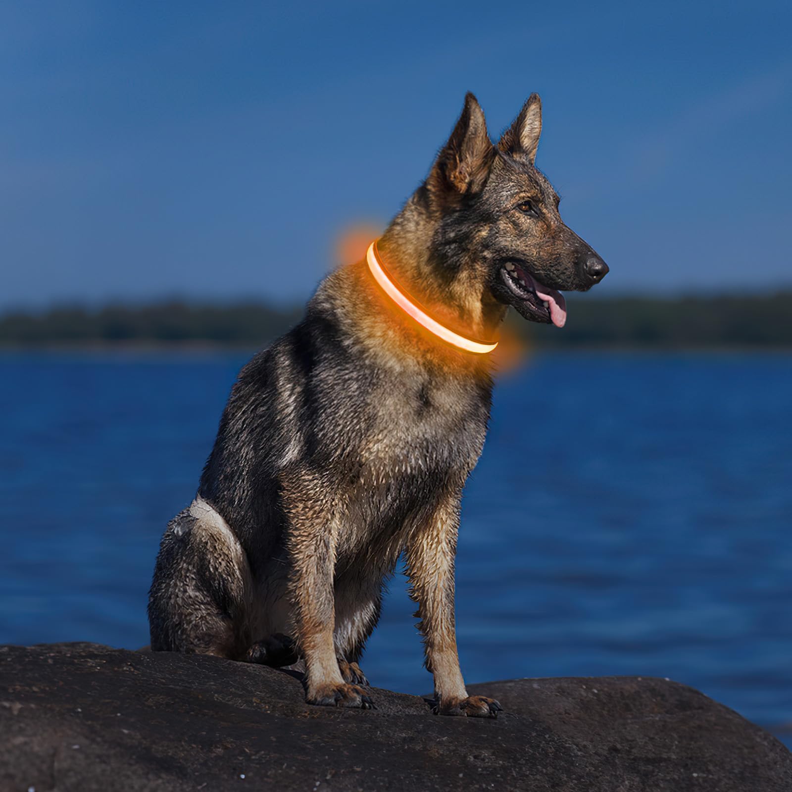 PcEoTllar color-changing LED collar with mood lighting options