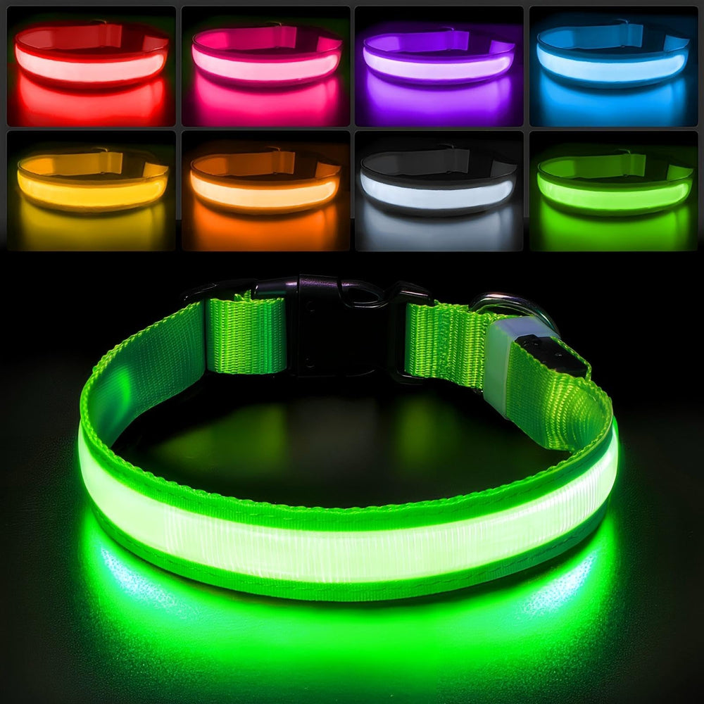 PcEoTllar color-changing RGB LED dog collar enhances nighttime visibility for safer night walks.