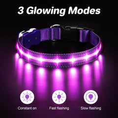 PcEoTllar LED dog collar shows a vivid fiber glow for reliable safety in rain.