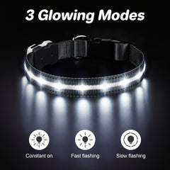 PcEoTllar led dog collar charging scene highlights quick recharge