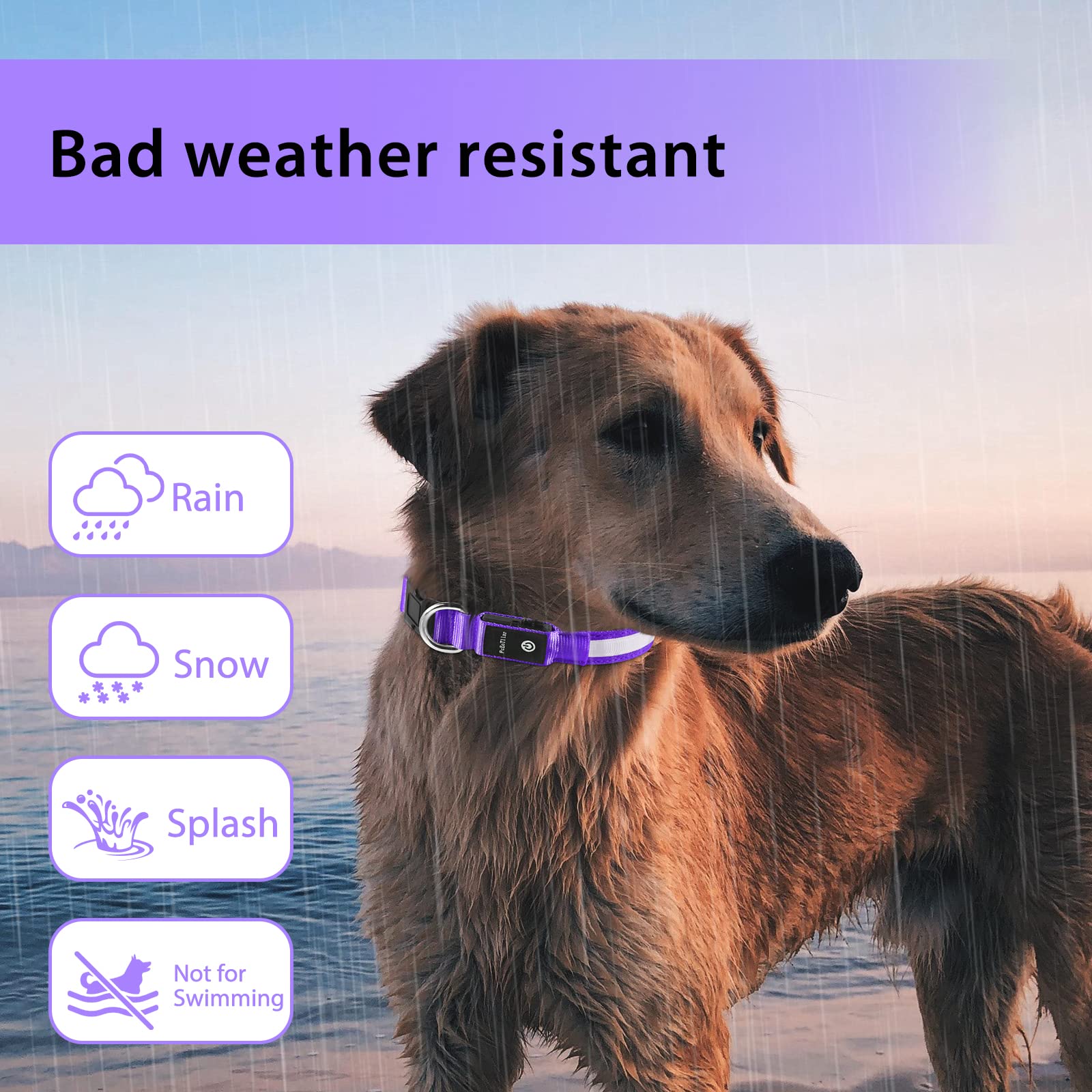 PcEoTllar light up dog collar adjustable strap for any size dog breed