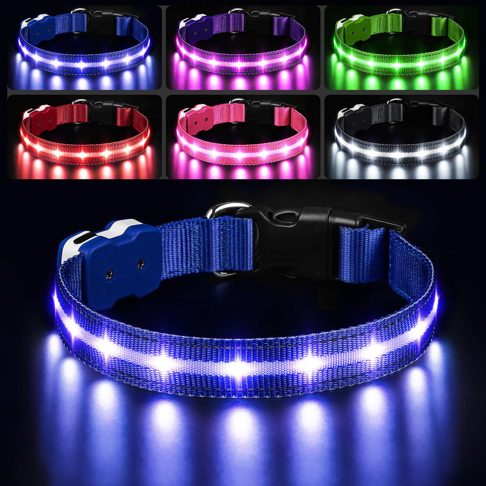 PcEoTllar light-up dog collar blue front view for night visibility