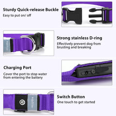 PcEoTllar light up dog collar displays seven color options for mood-based style