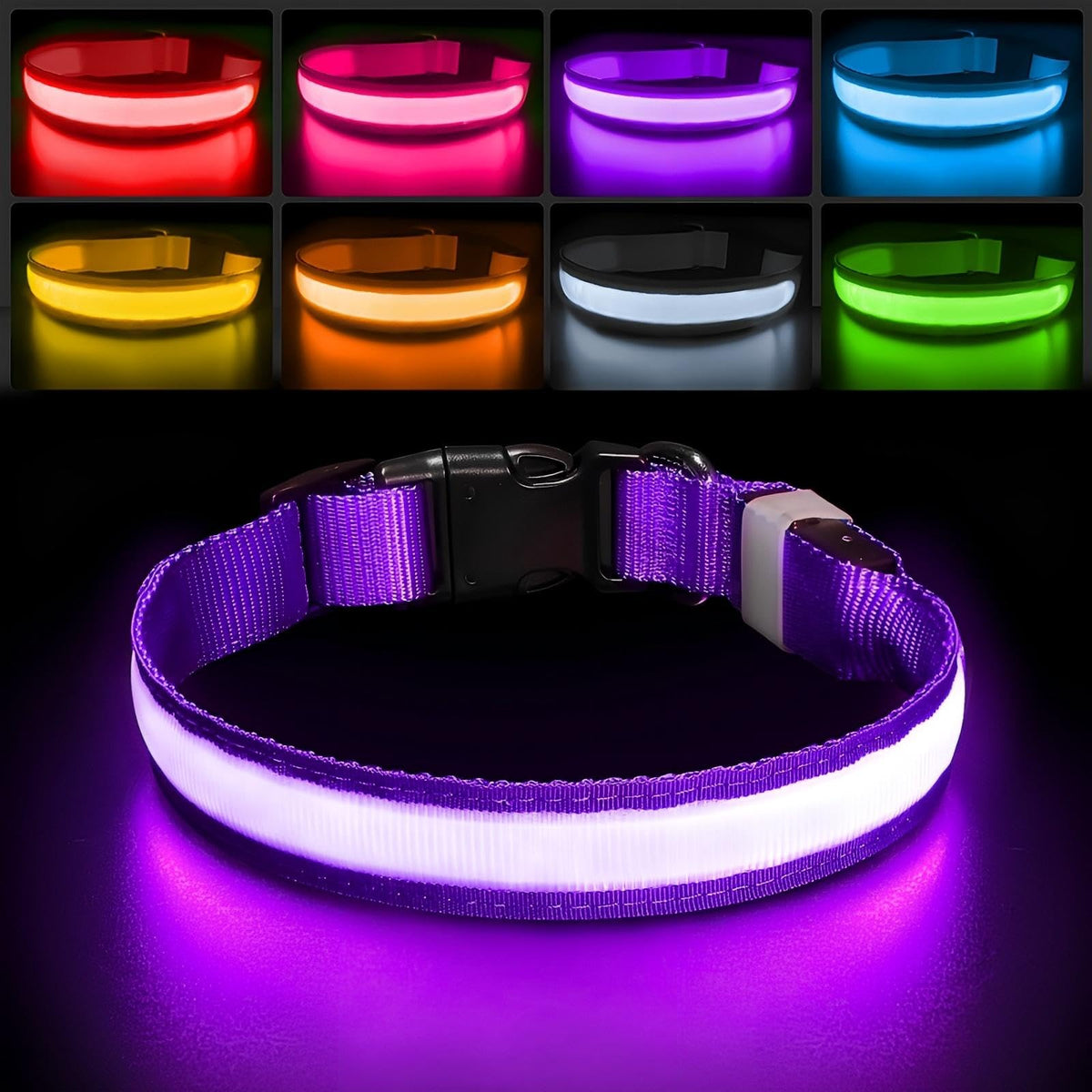 PcEoTllar light-up dog collar color-changing glow for safer night walks.