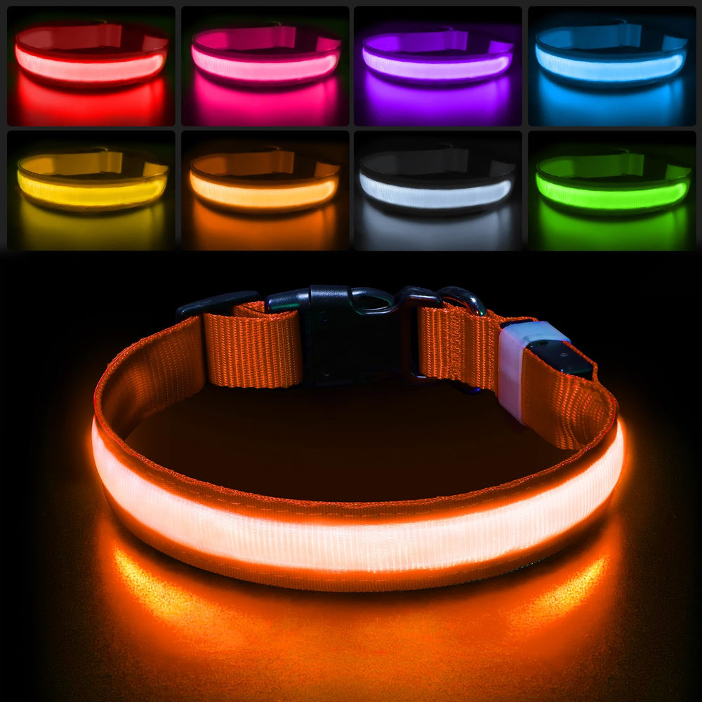 PcEoTllar light-up dog collar for night walks with high visibility.