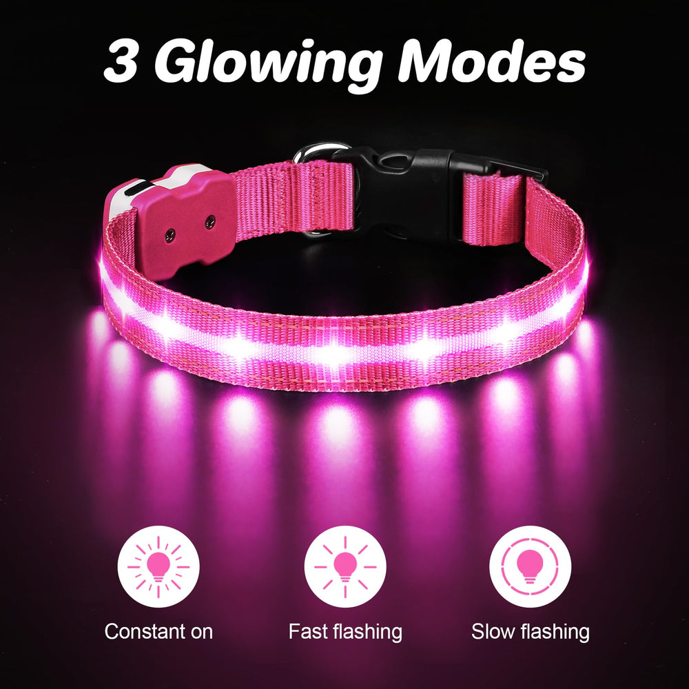 PcEoTllar light-up dog collar pink worn by dog enhances high-visibility at dusk.