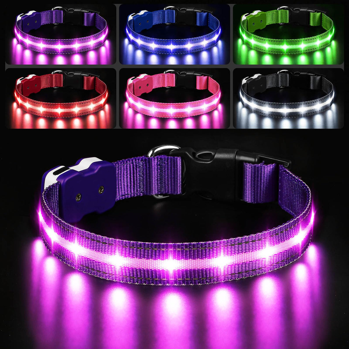 PcEoTllar light up dog collar purple front view shows high-visibility for night walks.