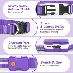 PcEoTllar light up dog collar purple worn-on-dog shows adjustable size for all breeds.