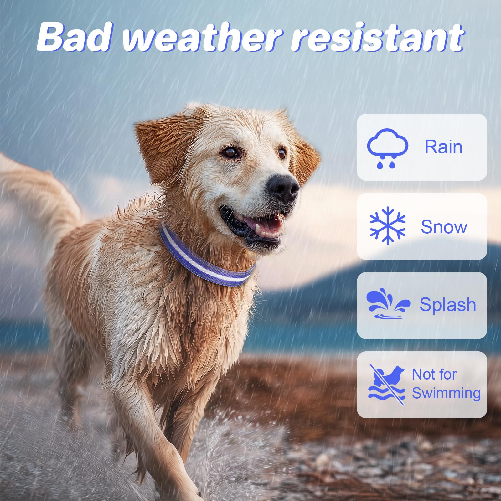 PcEoTllar light up dog collar blue rechargeable battery charging indicator