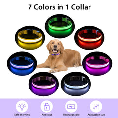 PcEoTllar light up dog collar waterproof for swimming and splashes during playtime