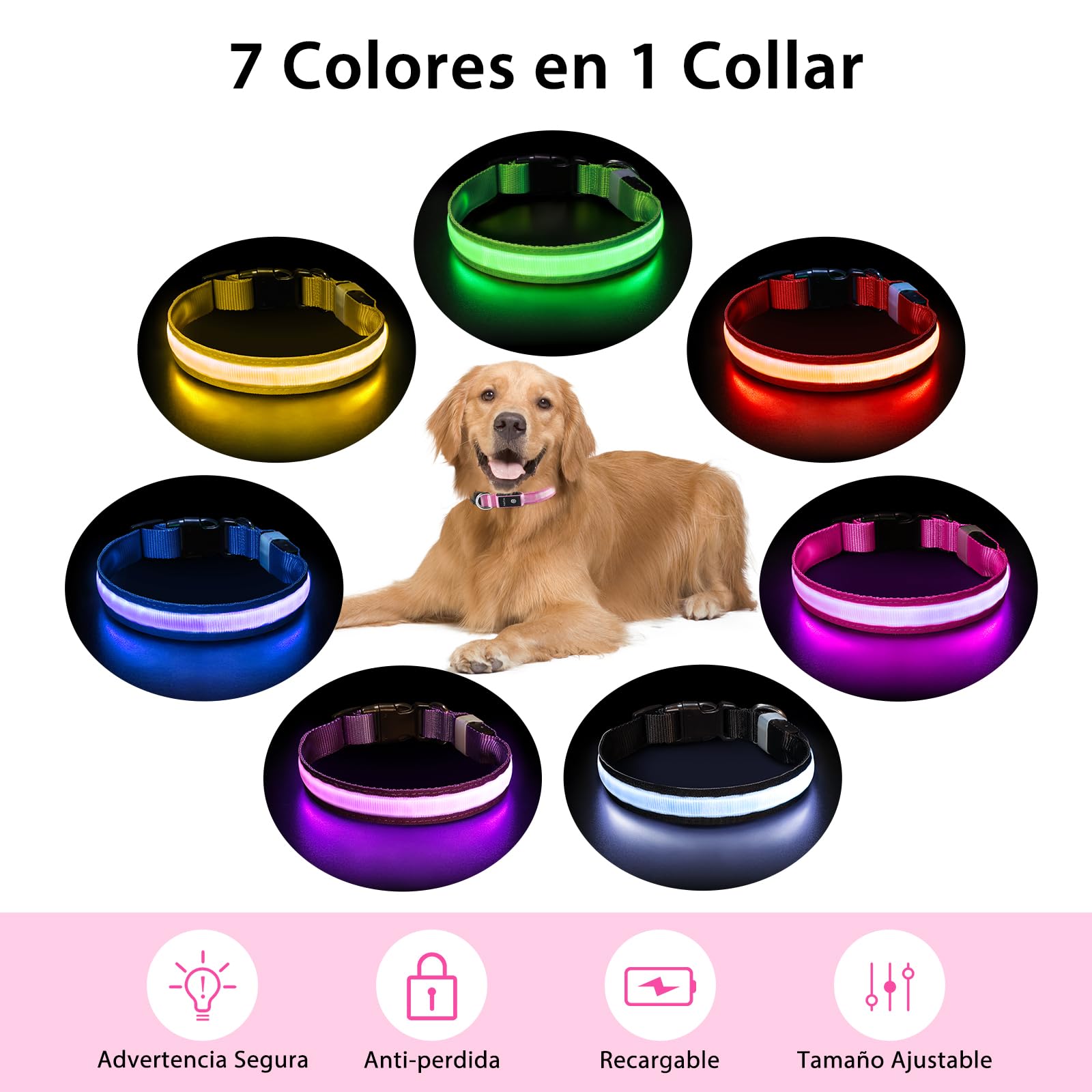 PcEoTllar night-walk collar emits bright lights to help prevent accidents.
