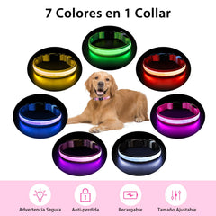 PcEoTllar night-walk collar emits bright lights to help prevent accidents.