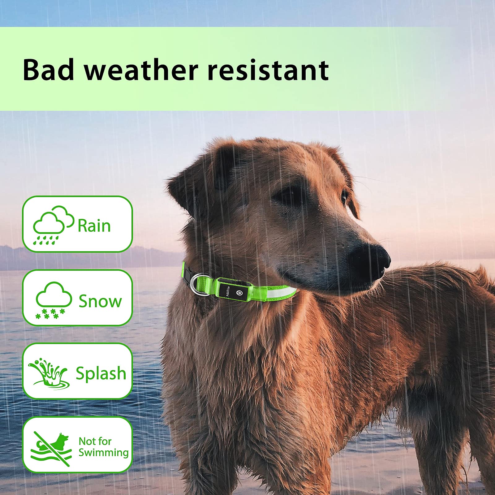 PcEoTllar durable polyester webbing on a secure dog collar