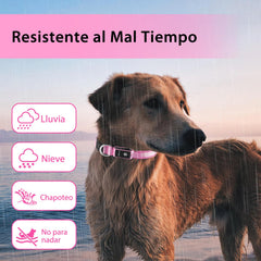 PcEoTllar rechargeable dog collar charges via USB for convenient power on the go.