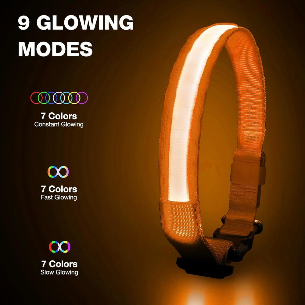 PcEoTllar rechargeable LED collar USB charged for mess-free use