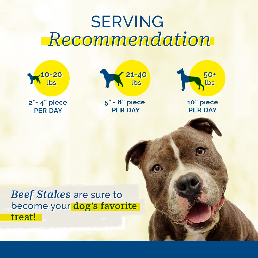 PCI Beef Stakes dog chewing; crunchy-chewy texture for engagement.