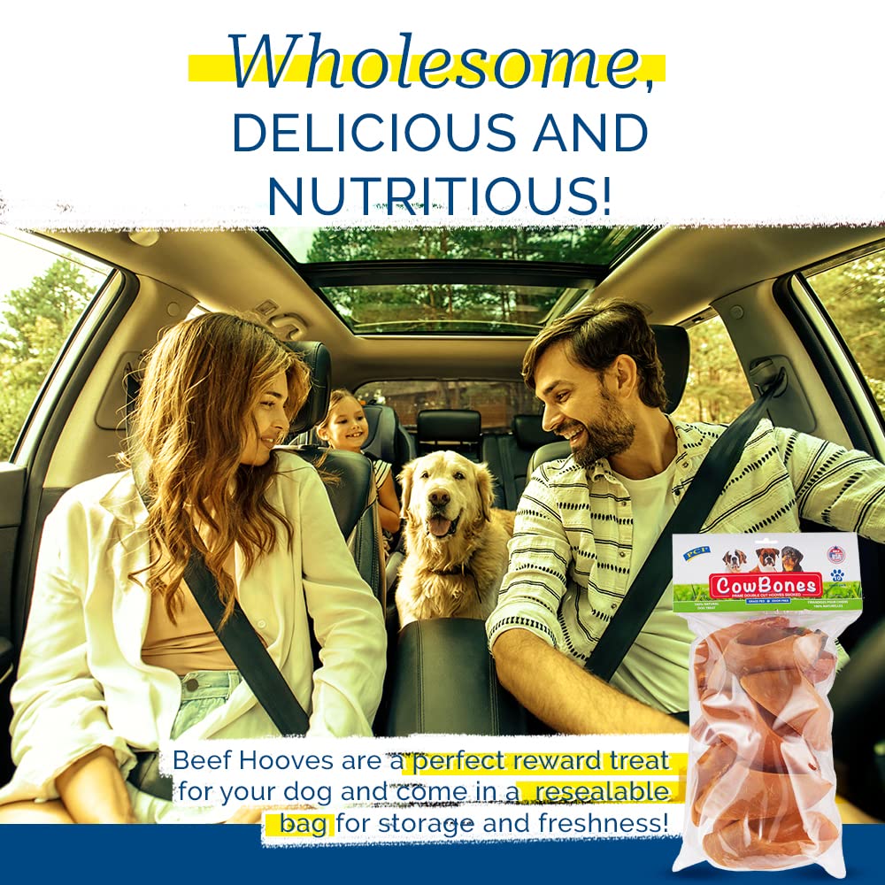 PCI Cow Bones dental chew texture closeup, supports chewing sessions.