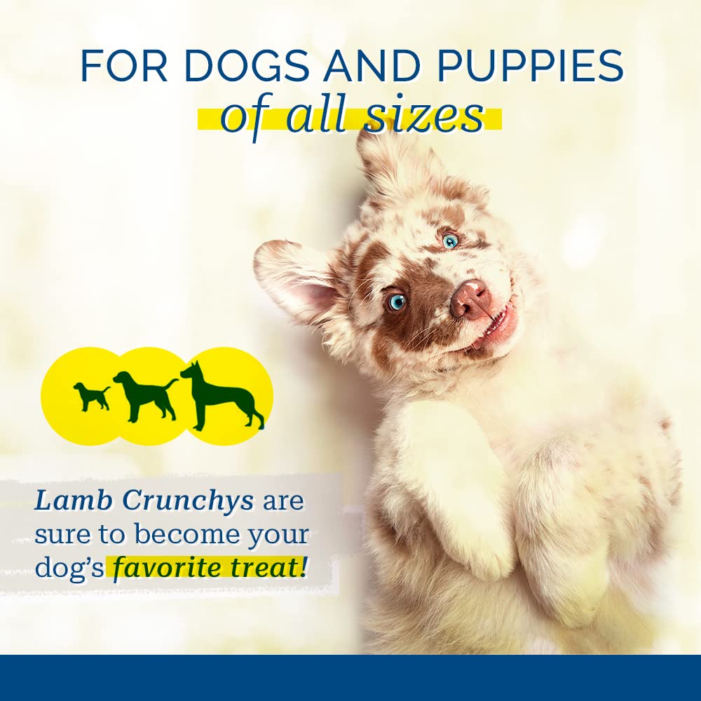 PCI Lamb Crunchys puppy-friendly bites suitable for all dog sizes.