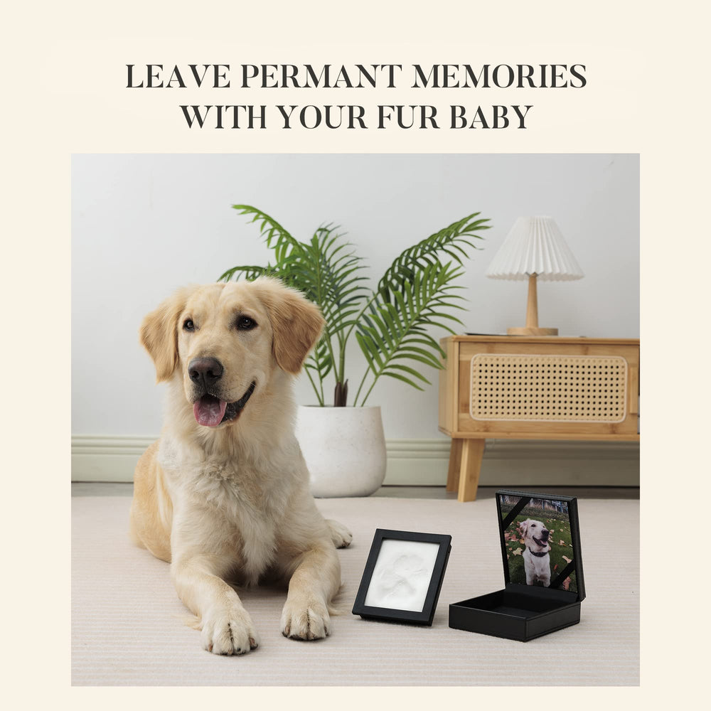 PCS Paw Print Kit display-ready after drying serves as a durable keepsake.