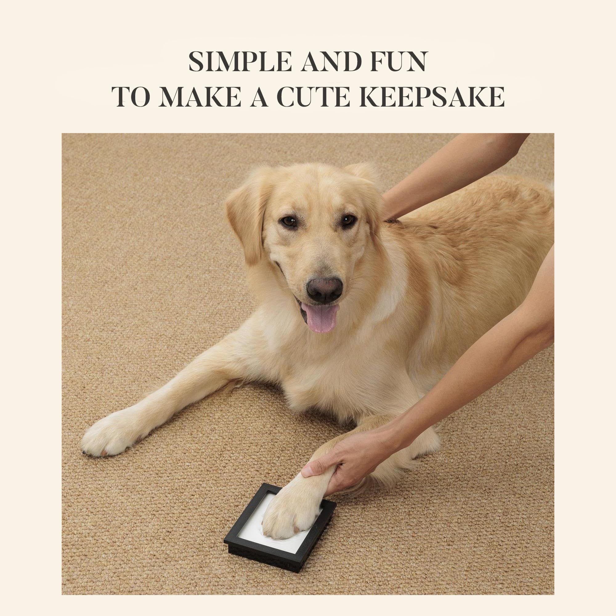PCS Paw Print Kit clear instruction manual helps you capture a paw print accurately.