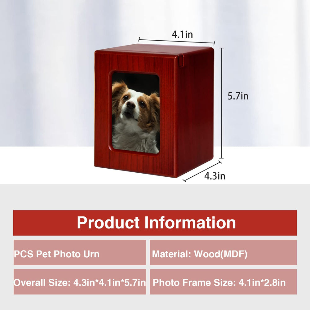 Medium dimensions 4.3 by 4.1 by 5.7 inches for compact home display
