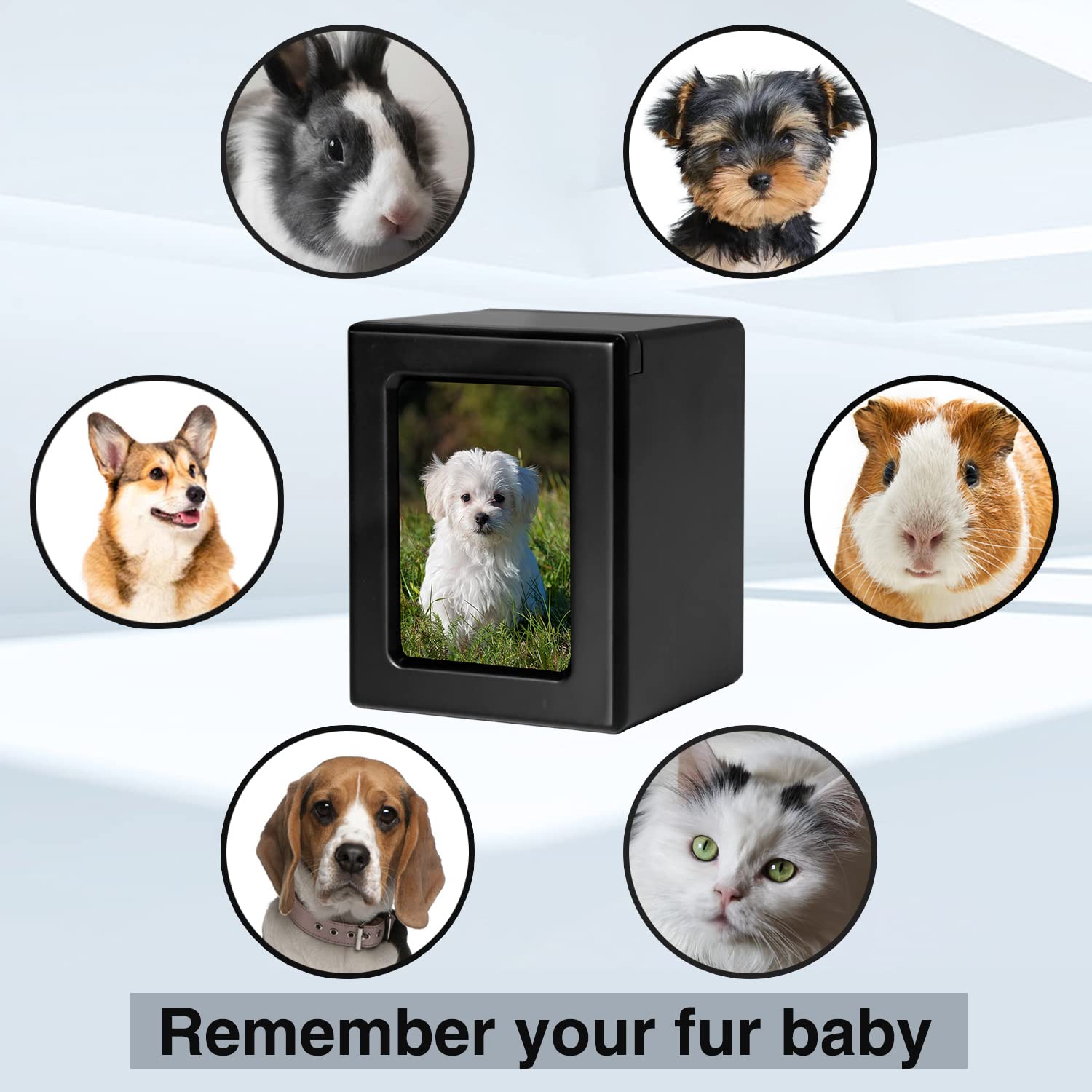 PCS Pet Urns for Dogs photo size 4.9x3.5 inches ideal for portraits.