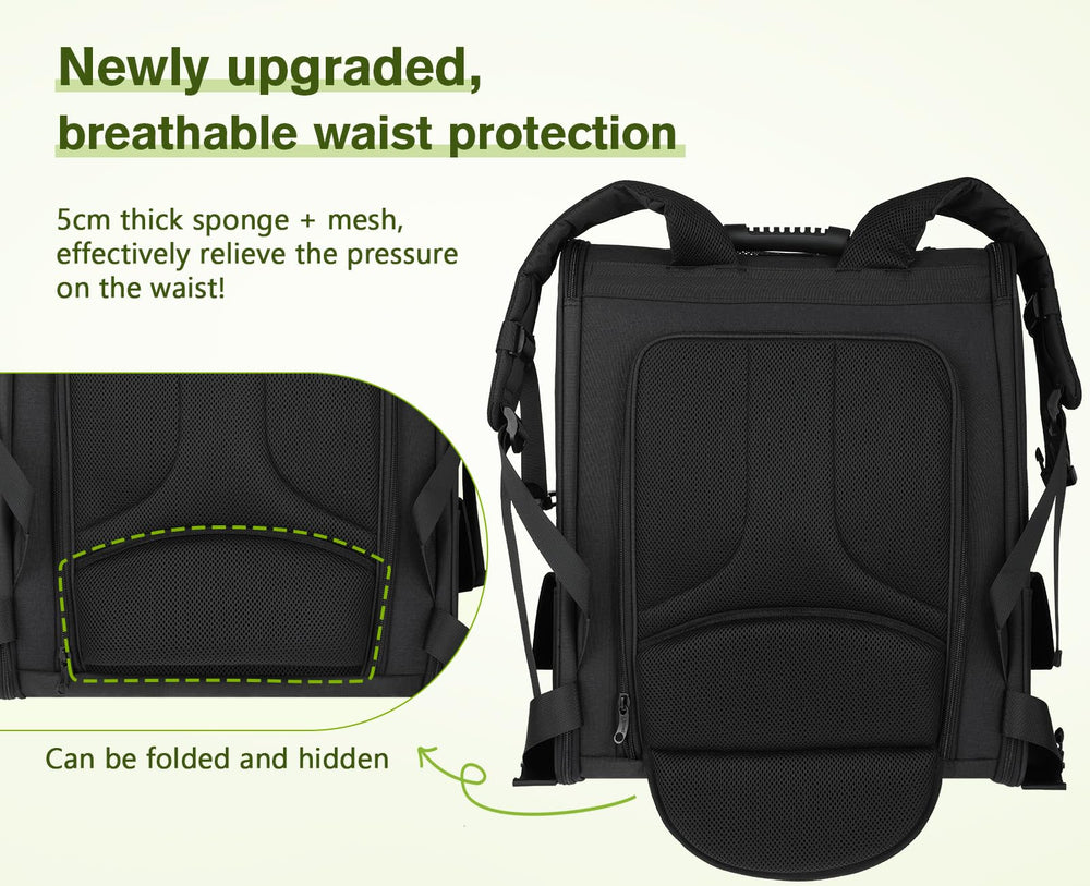 Pecute pet carrier top opening shows head-out option for curiosity and comfort