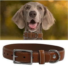 PCYHIIL genuine leather dog collar close-up buckle for secure daily wear