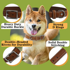 PCYHIIL heavy duty dog collar featuring sturdy buckle for hunting and hiking