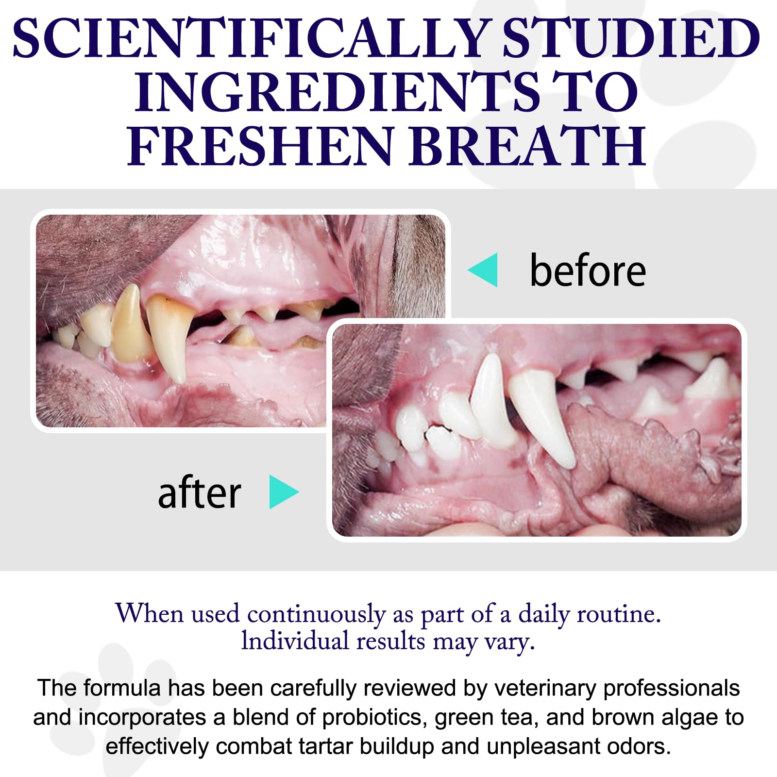 Peesnb dog teeth cleaning powder dispense scoop demonstrates simple dosing for pets.