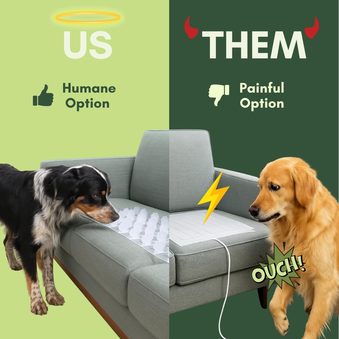 PEACHTREE PET polycarbonate sheets are durable and chew resistant for busy homes