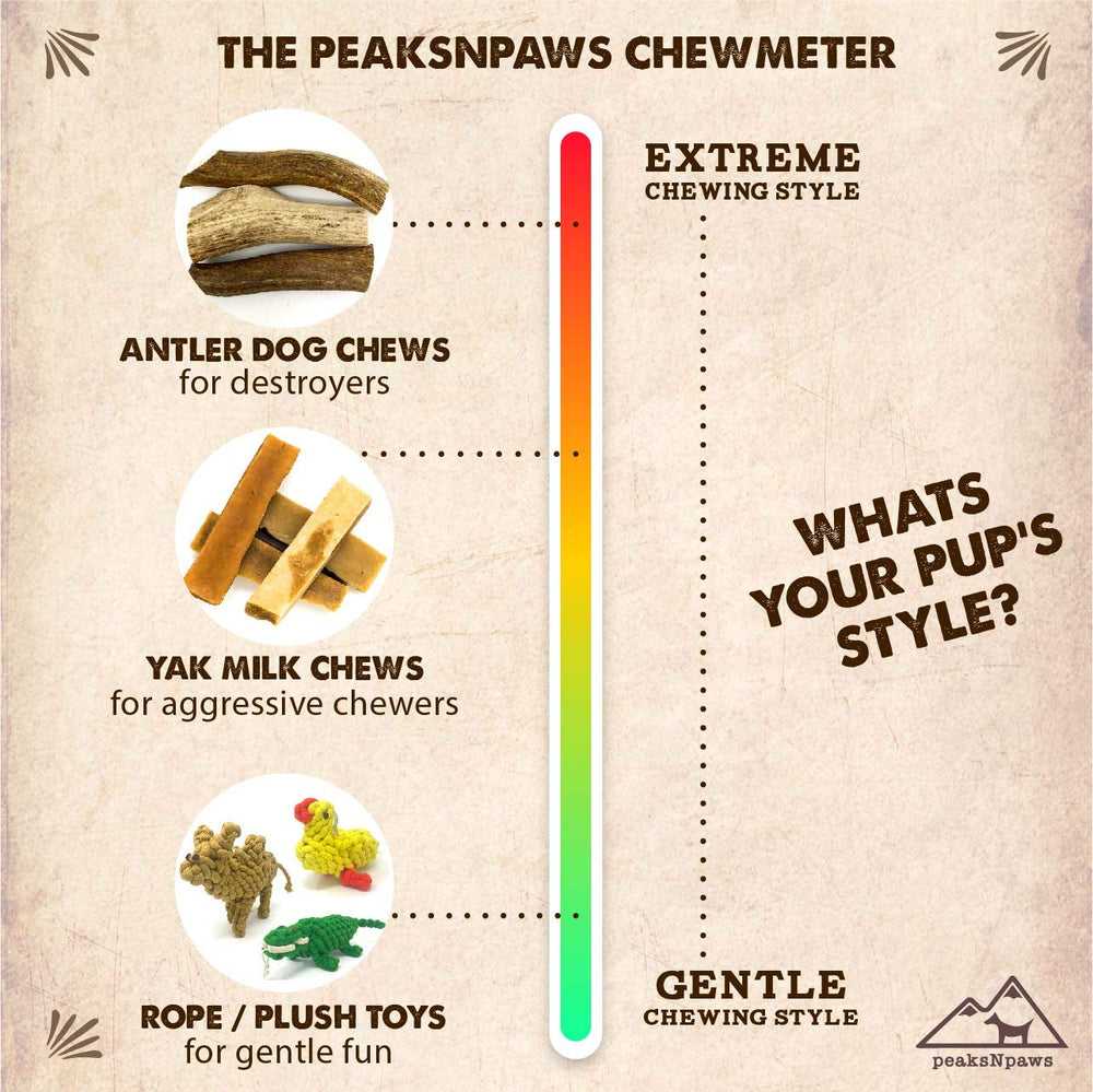 peaksNpaws 24oz jar with yak cheese chews for extended use