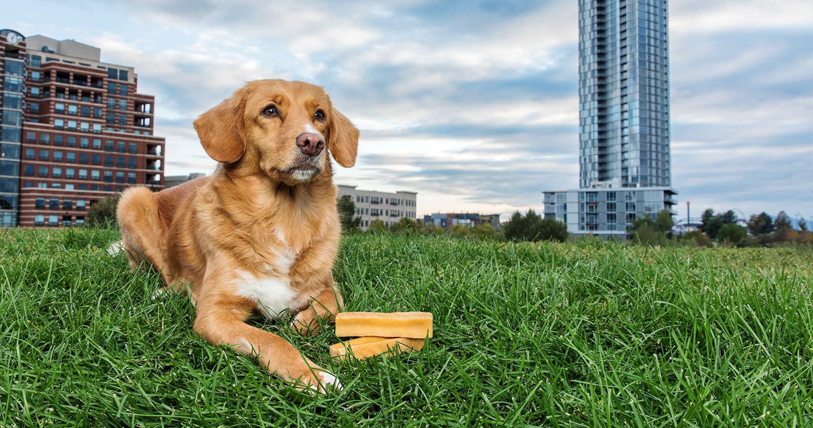 peaksNpaws Himalayan Yak Chews eco-friendly packaging highlighted for sustainability.