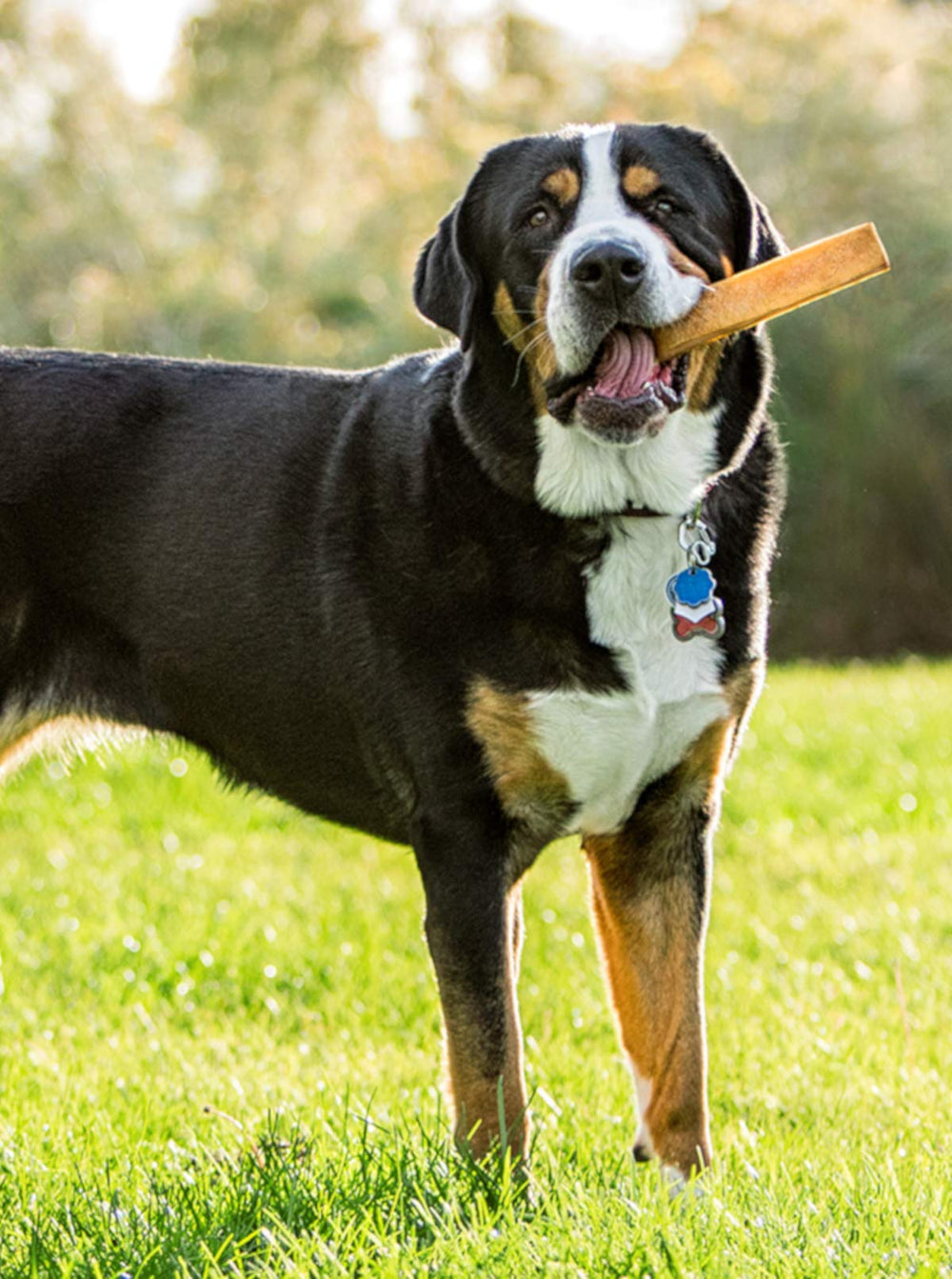 peaksNpaws long-lasting yak cheese chews closeup for extended chewing sessions