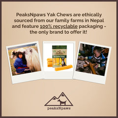 peaksNpaws Yak Cheese Himalayan dog chews durable sticks ideal for aggressive chewers during play.