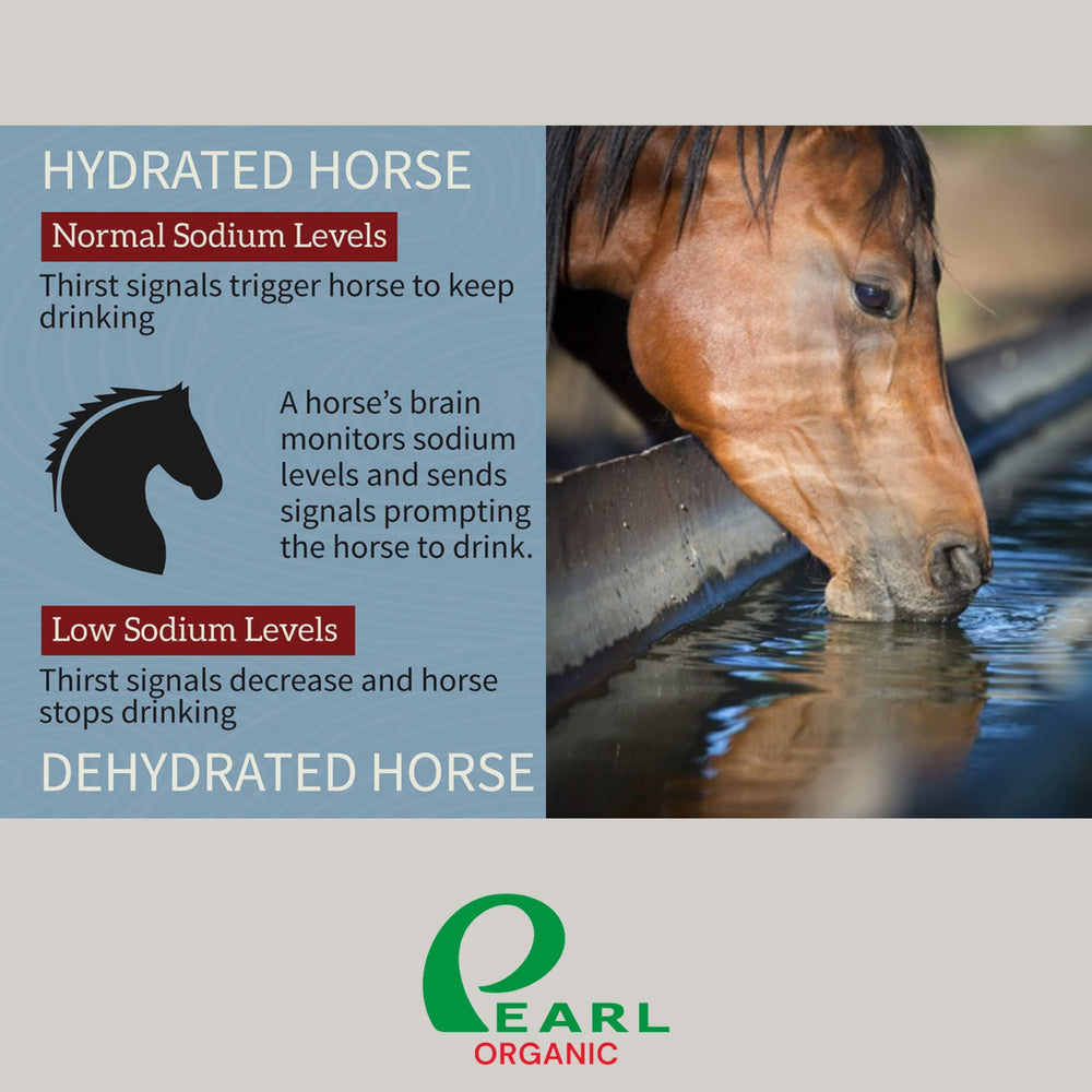 Pearl Organic salt lick on rope for deer highlights long-lasting nutrition.