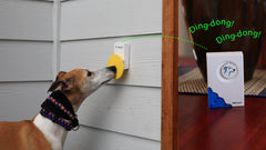 Pebble Smart Doggie Doorbell blue accent installation guide highlighting effortless setup.