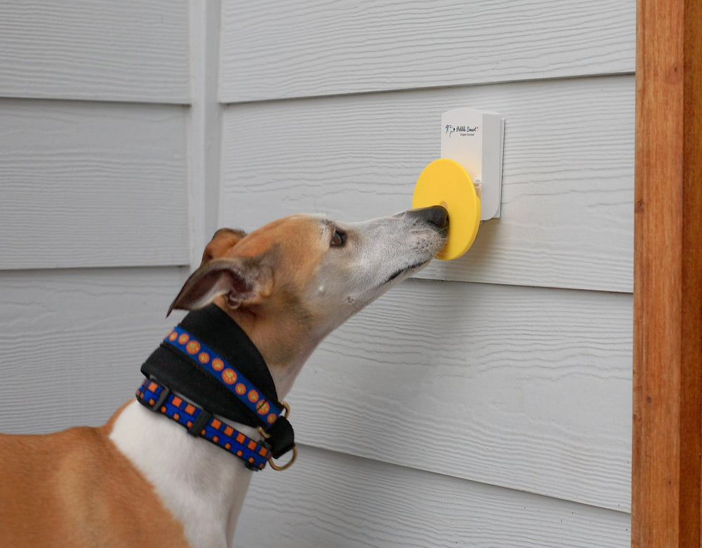 Pebble Smart Doggie Doorbell blue accent weatherproof design withstands rain and snow.