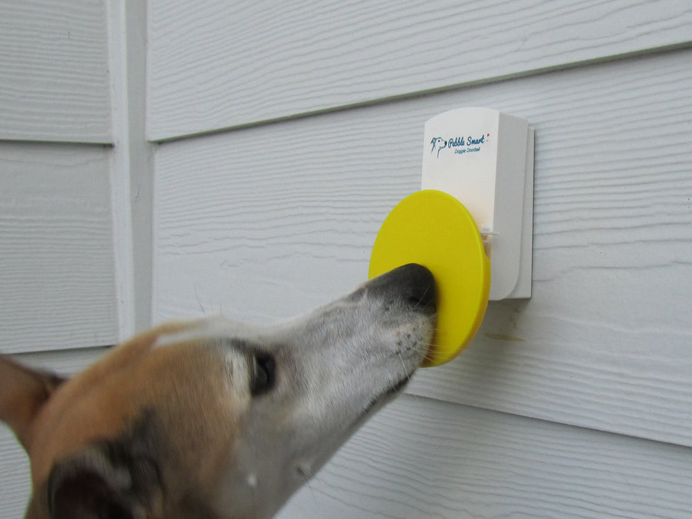 Pebble Smart Doggie Doorbell blue accent wireless range up to 250 feet for flexible training.