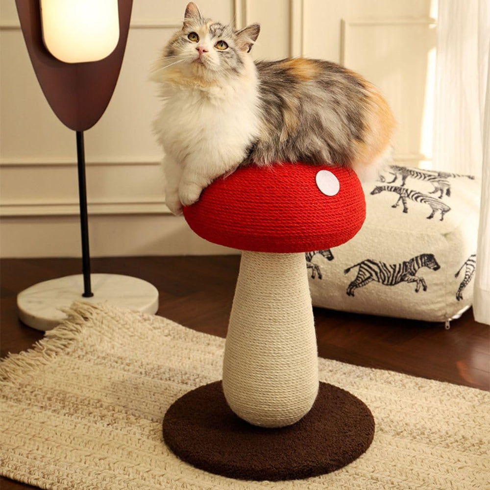 PECHVINO Mushroom Cat Scratching Post base offers sturdy stability during active play