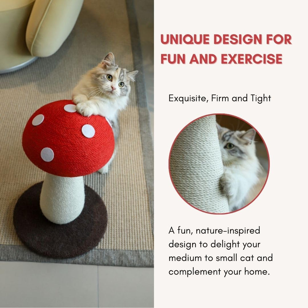 PECHVINO Mushroom design attracts cats for scratching and stretching