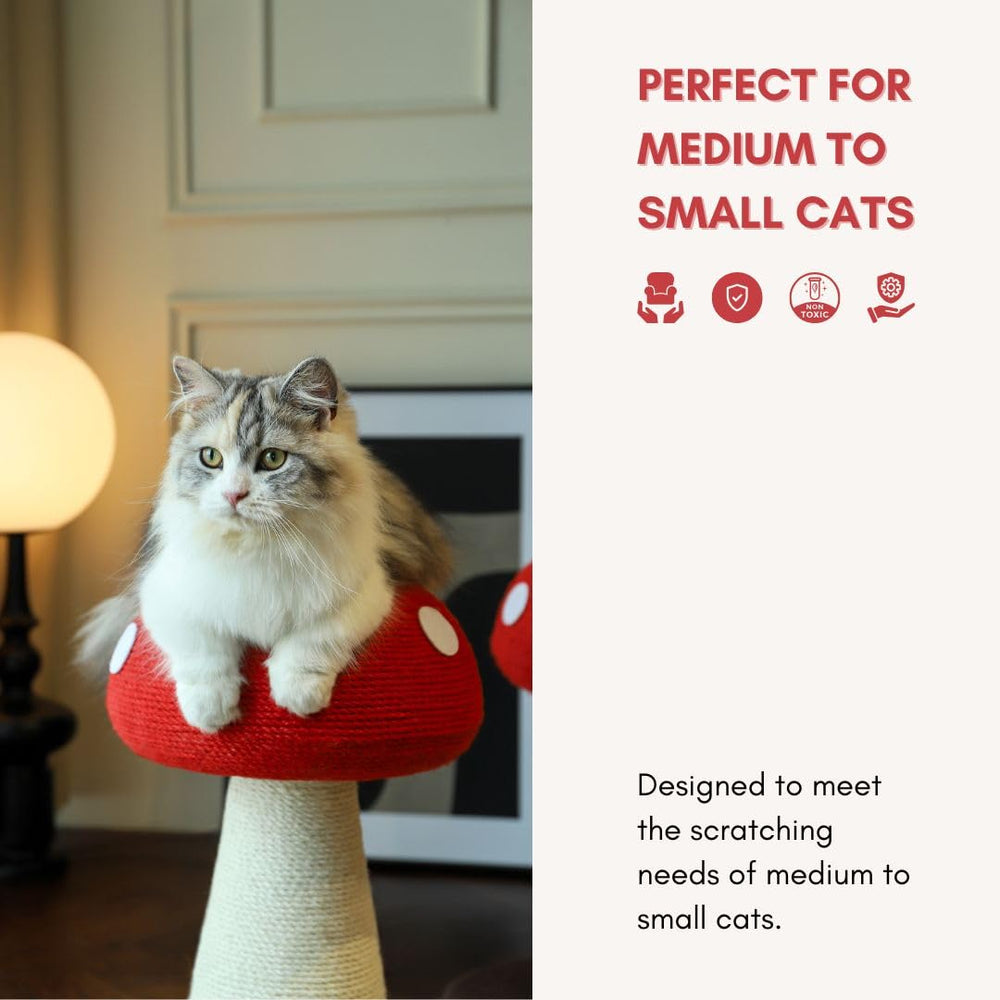 PECHVINO indoor-friendly mushroom post doubles as decor for cat space