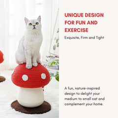PECHVINO mushroom cat scratching post features a broad base for stable play.