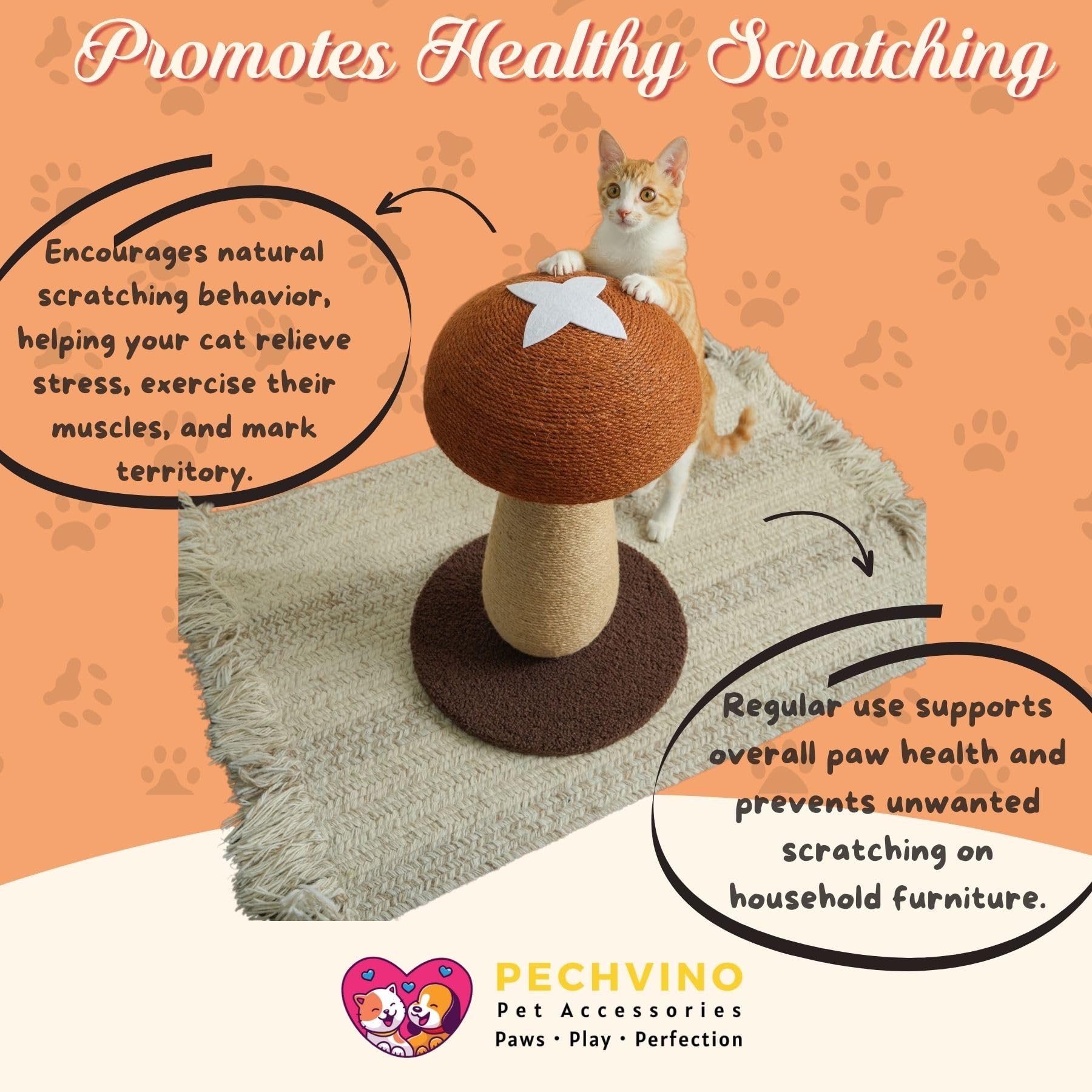 PECHVINO Shiitake base shows stable foundation for safe play