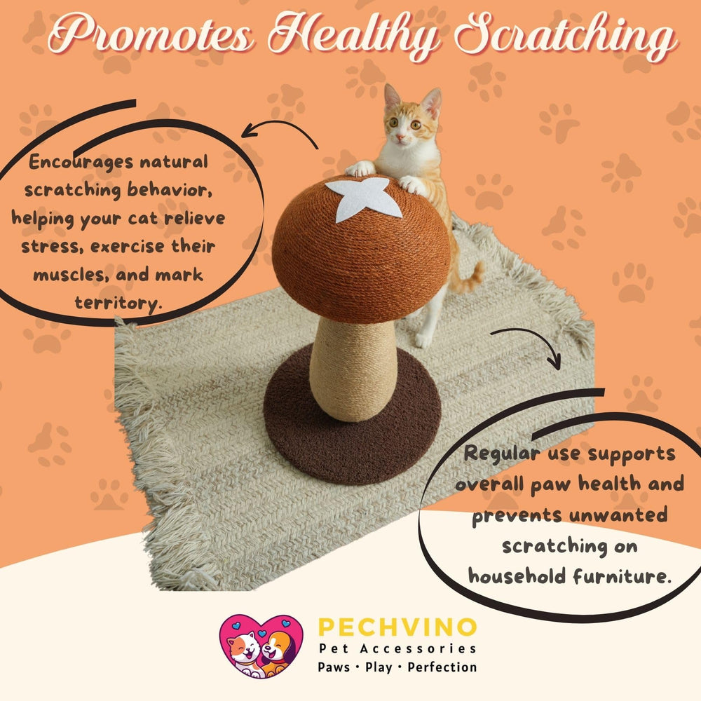 PECHVINO Shiitake base shows stable foundation for safe play