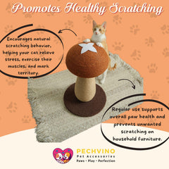 PECHVINO Shiitake base shows stable foundation for safe play