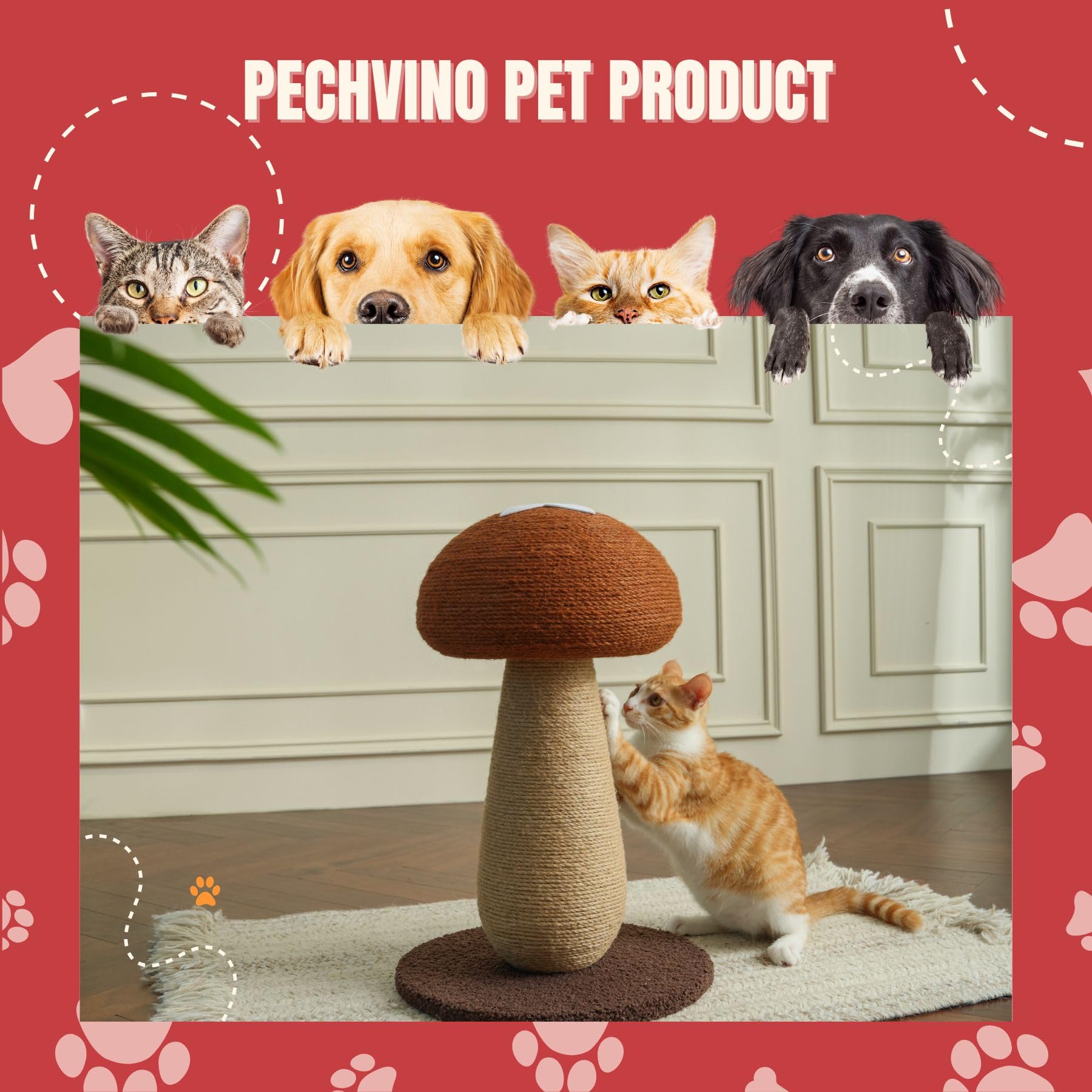 PECHVINO Shiitake cat play encourages stretching and exploration