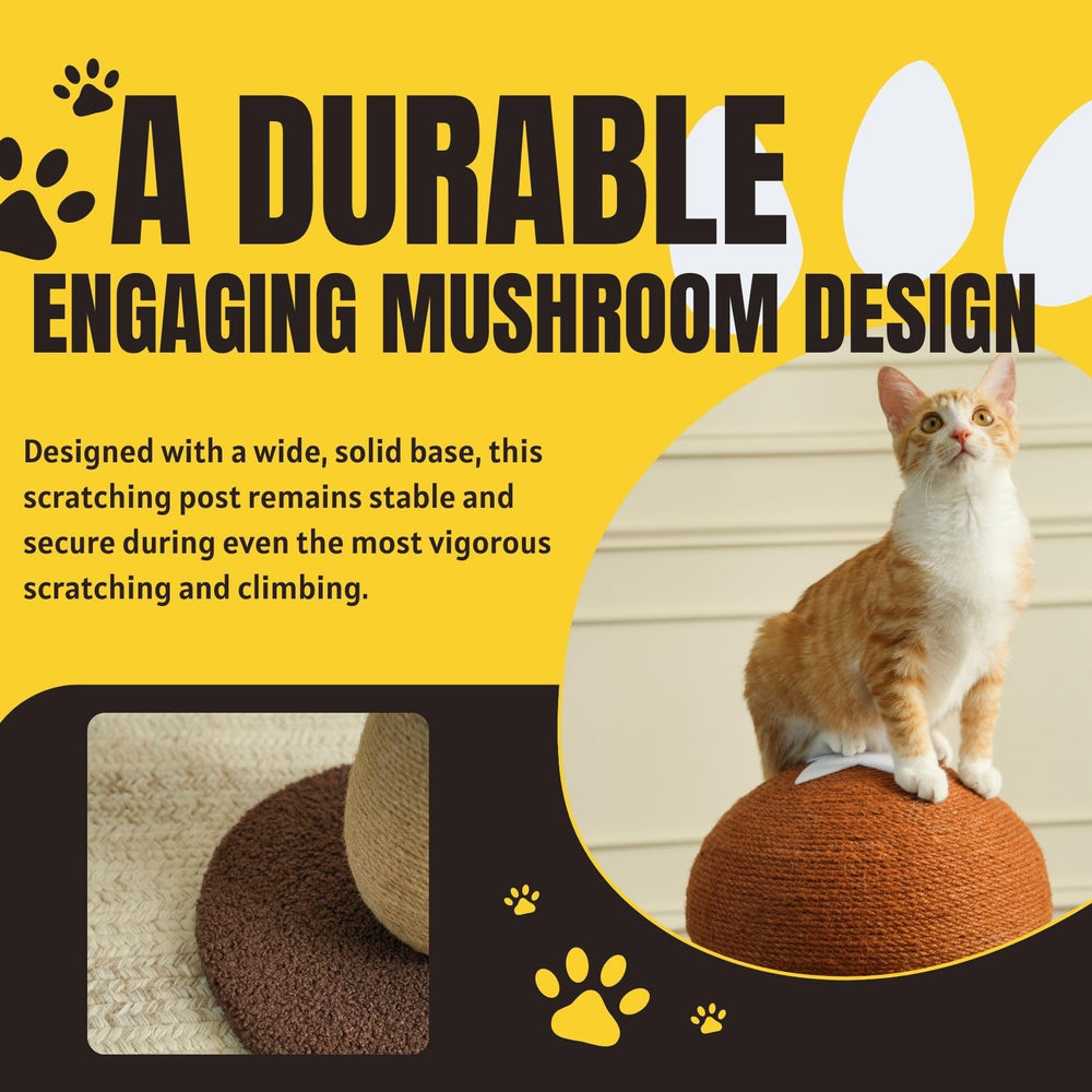 PECHVINO Shiitake pompom toy engages indoor cats in play