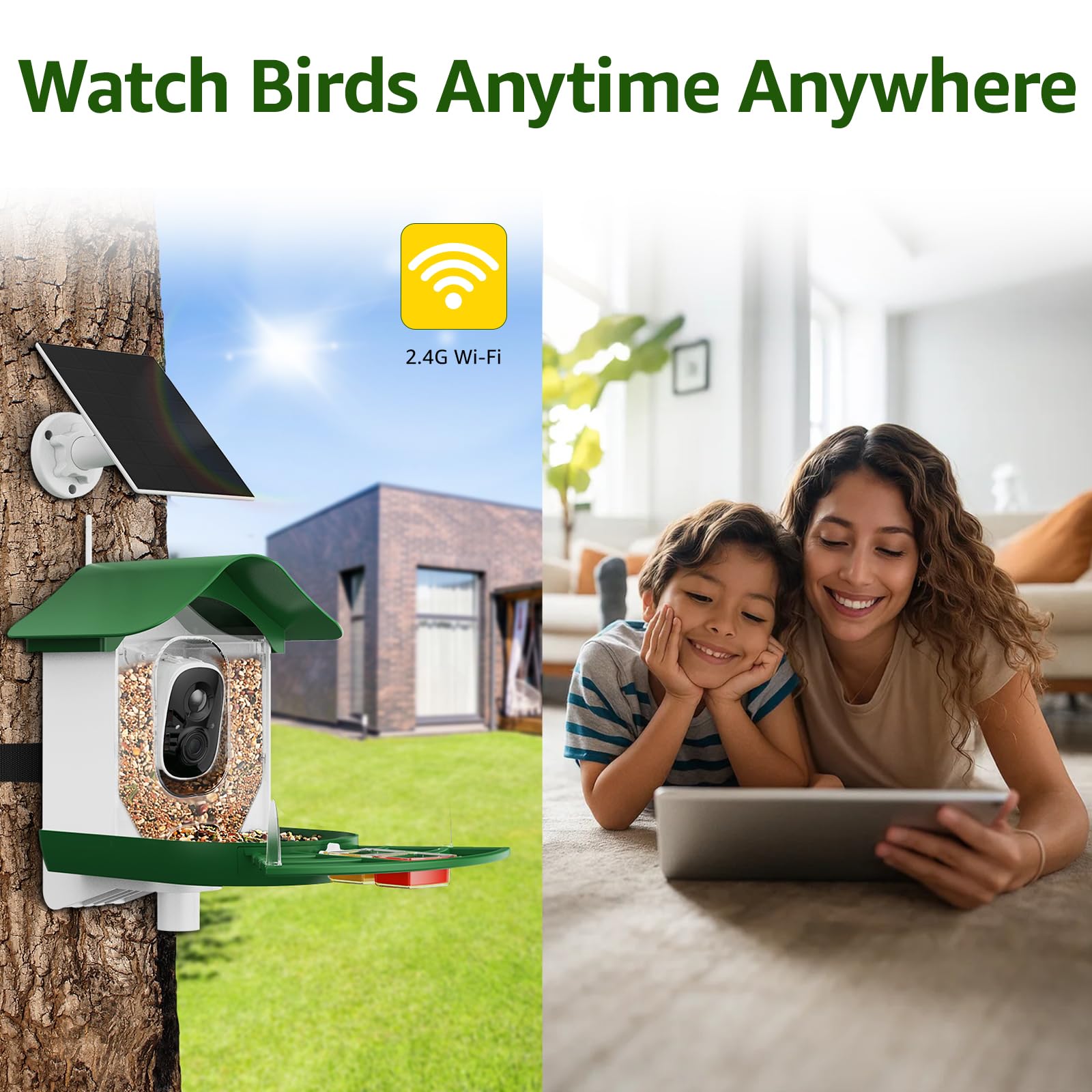 PeckCam 2K HD live view captures crisp feather details for nature enthusiasts.