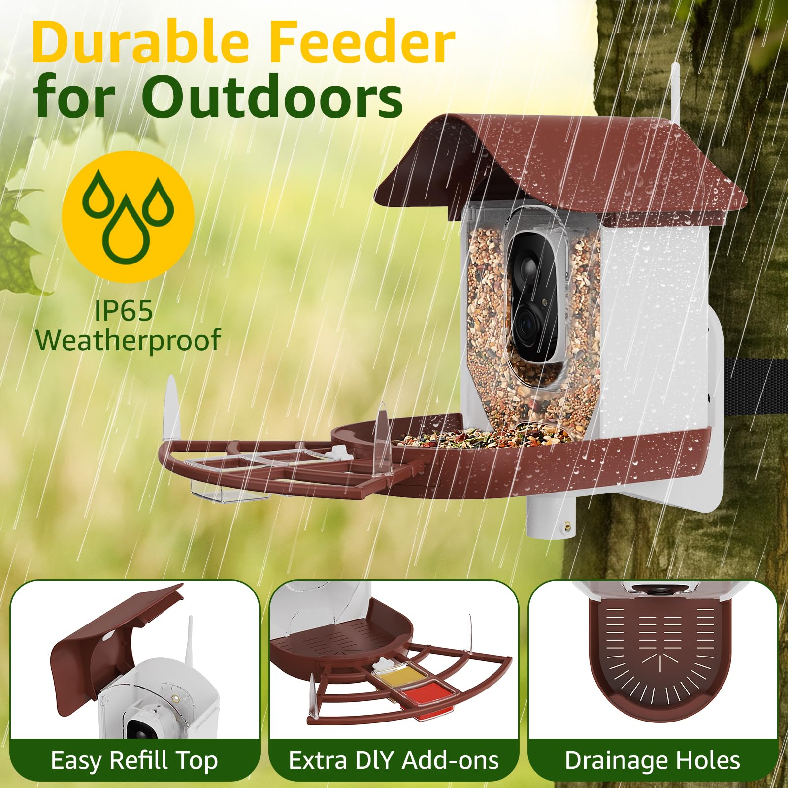 PeckCam 2K live stream and notifications keep you connected to visiting birds.